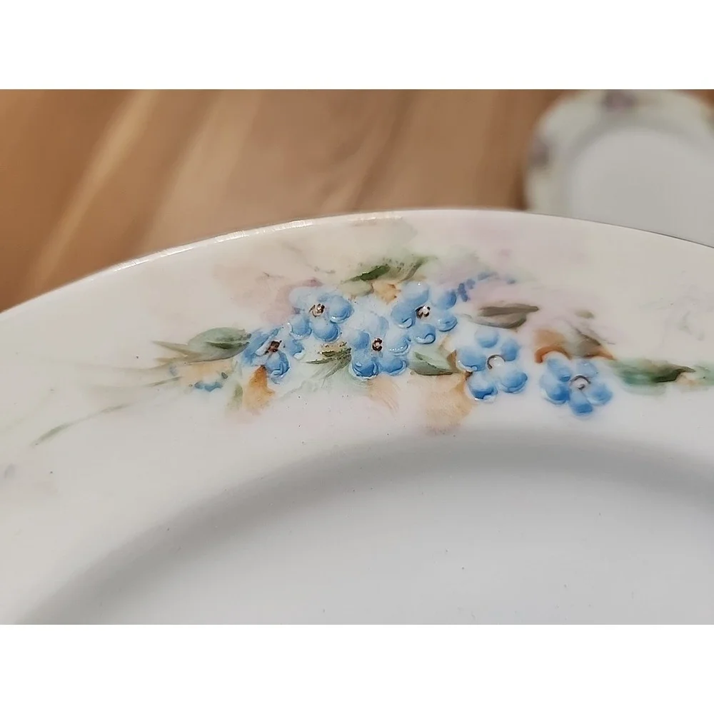 Antq (2) 1918 Haviland France Handpainted Blue Pink Roses Floral Plates Mismatch
